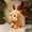 Brown-BW Home Decor, variant on Weekly Deal karymi Christmas Doll Decoration Soft Plushs Special-shaped Pillow Cute Christmas Tree Santa Claus Doll Suitable for Home Bedroom Sofa Christmas Decoration Christmas Decorations Indoor
