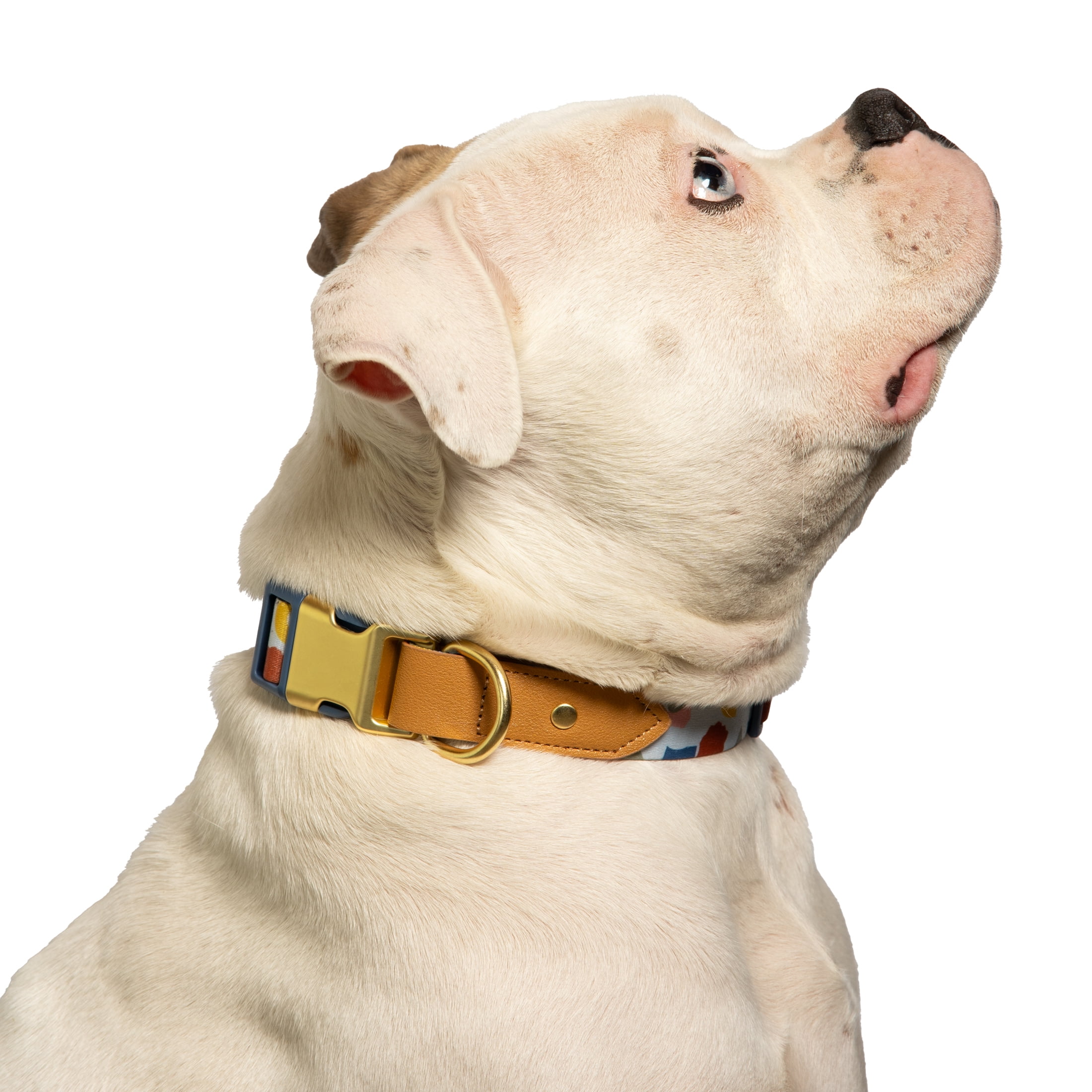 Vibrant Life Dog Collars, Abstract Shapes Fashion Pet Collar, Multicolored, Medium