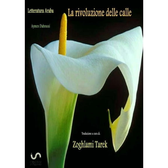 Letteratura Araba La rivoluzione delle calle, (Paperback)