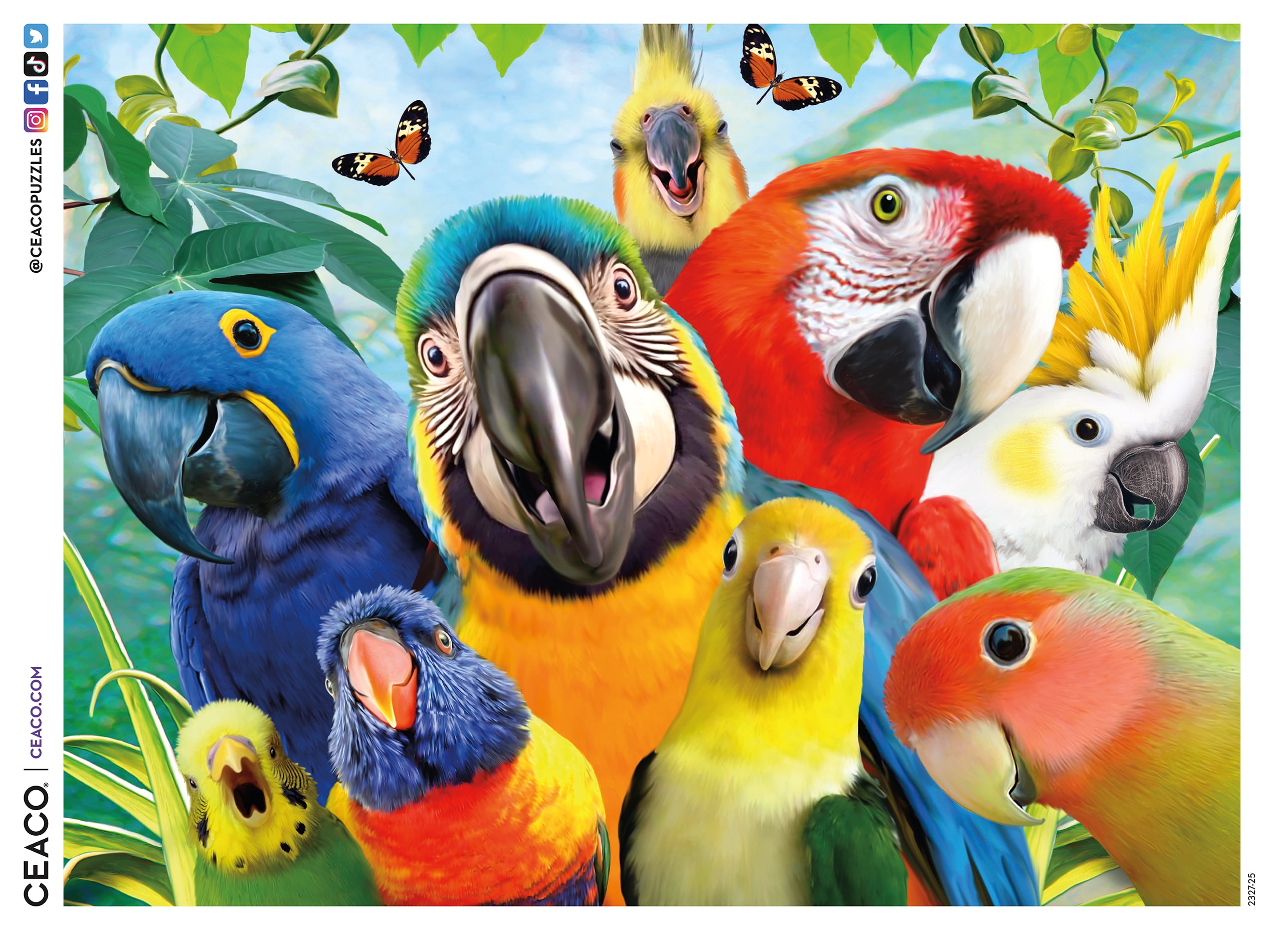 Ceaco Perfect Parrot Selfies 500-Piece Interlocking Jigsaw Puzzle for Adults Ages 14+