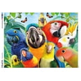 thumbnail image 3 of Ceaco Perfect Parrot Selfies 500-Piece Interlocking Jigsaw Puzzle for Adults Ages 14+, 3 of 5