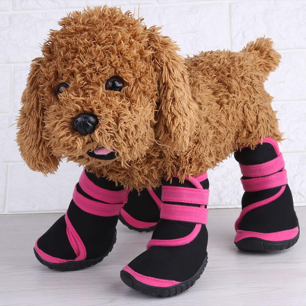 dog boots