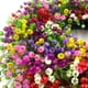 thumbnail image 5 of Decoración Yuarrent Alta durabilidad Rosa, 5 of 6