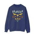 thumbnail image 1 of Harry Potter Mens Quidditch Bludgers Quaffles Sweatshirt, 1 of 3