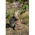thumbnail image 1 of Bird Decorative Object-Motion Activated Singing Troglodytes Standing on Stump, Statue Décor, Home Décor, 1 of 5