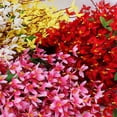thumbnail image 4 of 1 PCS Artificial Silk forsythia Branches Artificial Flowers Yellow Silk forsythia Flowers with Stems Fake Jasmine Spring Flowers Orchids for Wedding Floral Arrangement Party Table Decor, 4 of 9