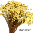 thumbnail image 2 of OHOIOLLA 5Pack Dried Mini Flower Dried Star Daisy 47In, 2 of 8