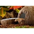 thumbnail image 3 of Exo Terra Reptile Coconut Hide & Water Dish, 3 of 3