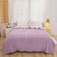 thumbnail image 2 of Summer Blanket Plush Soft Ice Blanket Breathable Temperature Controlled Conditioning Blanket Breathable Soft Lightweight Smooth 39x59IN Light Blankets for Summer for Women Portable Throw Blankets, 2 of 8