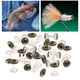 thumbnail image 3 of Mancuerna de latón Sharpla Material de atado de moscas para pesca 6 mm Kits de pesca con mosca de bricolaje, 3 of 8