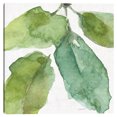 thumbnail image 1 of Cuadros Decorativos Jardin Azul y Verde VIII Jr Canvas, 1 of 2