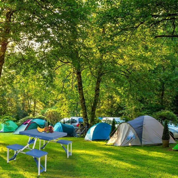 Lowestbest One-Piece Folding Table and Chair, Portable Plastic Picnic Table and Chair Set for 4 People, Blue, Thickened