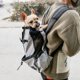 thumbnail image 2 of Outdoor Travel Puppy Medium Dog Backpack for Small Dogs Breathable Walking French Bulldog Carrier Bags Accessories Pet Supplies ShopWise Round, 2 of 14