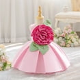 thumbnail image 4 of HJYCHN Kids Dress Sleeveless Round Neck Party Gown with Large 3D Floral Applique and Puffy Tutu Skirt for Girls Dress 12-18 Months, 4 of 9