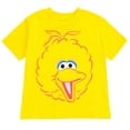 thumbnail image 4 of Sesame Street Elmo Cookie Monster Big Bird Toddler Boys 4 Pack T-Shirts Infant to Toddler, 4 of 5