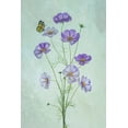 thumbnail image 2 of Jacobs, Lydia 13x18 Gold Ornate Wood Framed with Double Matting Museum Art Print Titled - Elegant Cosmos Flowers, 2 of 4