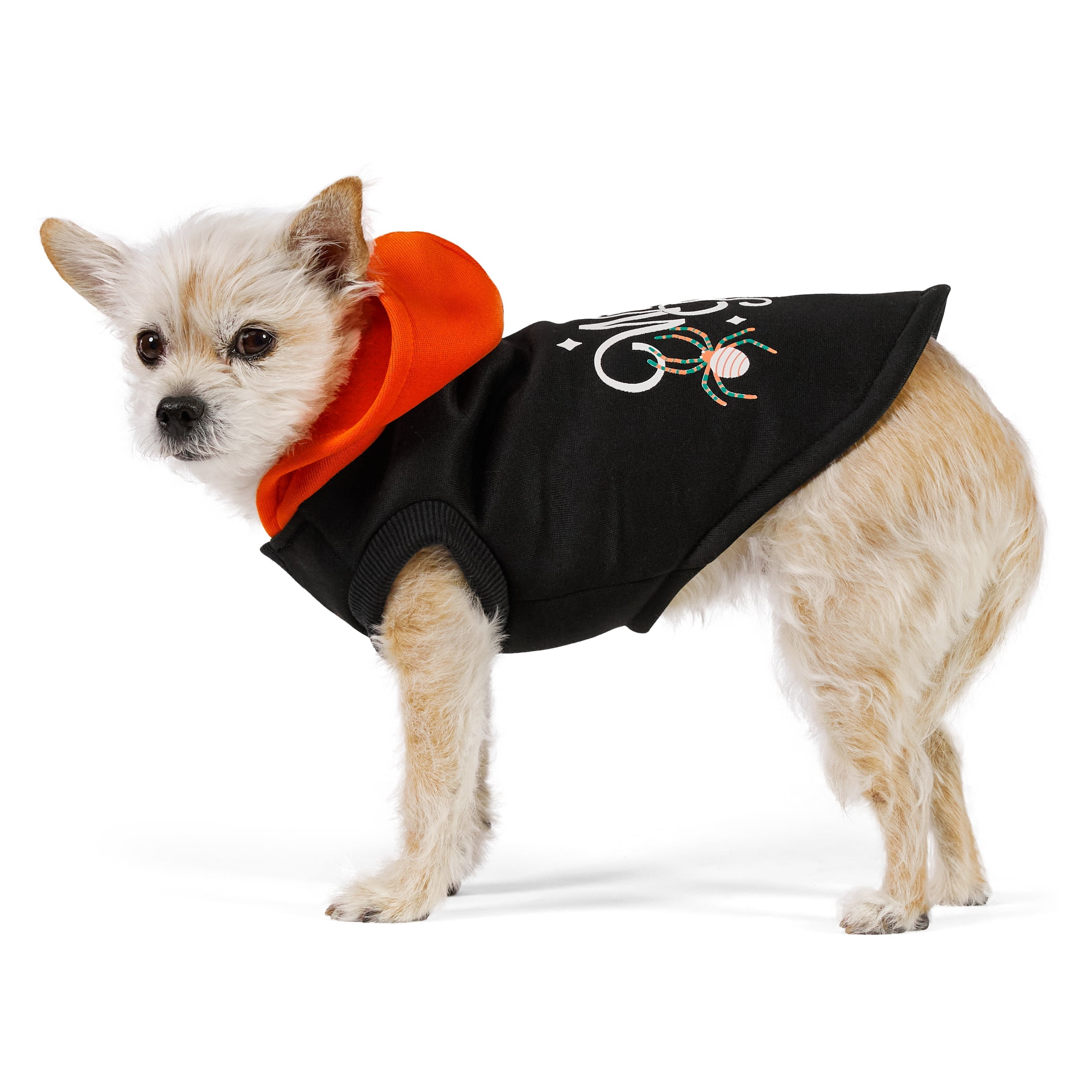 Vibrant Life Halloween Hoodie for Dogs and Cats, Witch Please, Orange and Black, XS