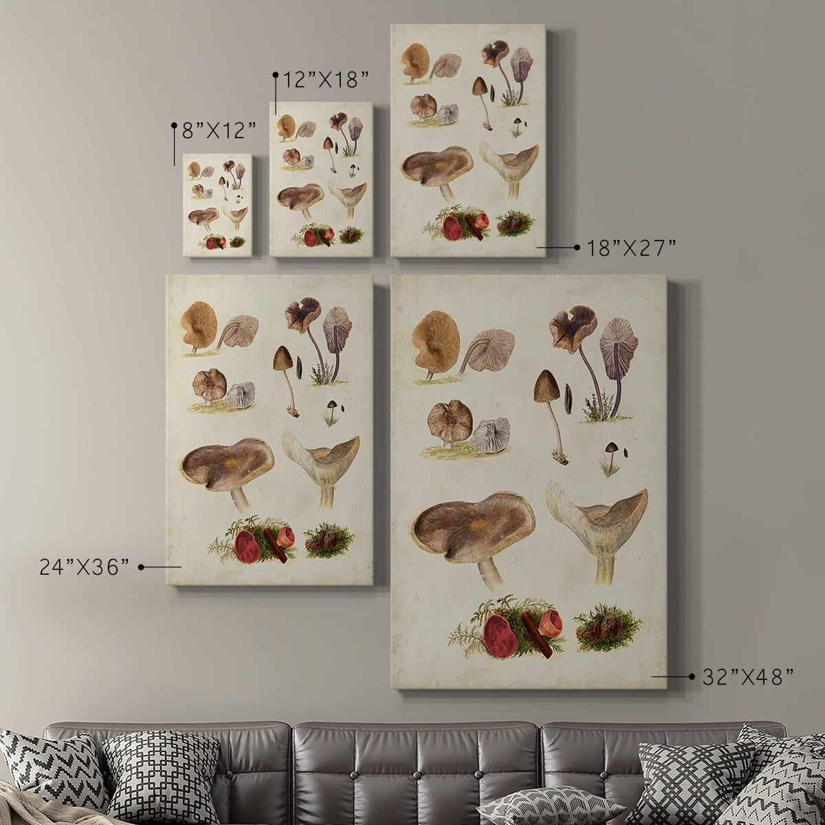 Mushroom Species III Premium Gallery Wrapped Canvas - Ready to Hang