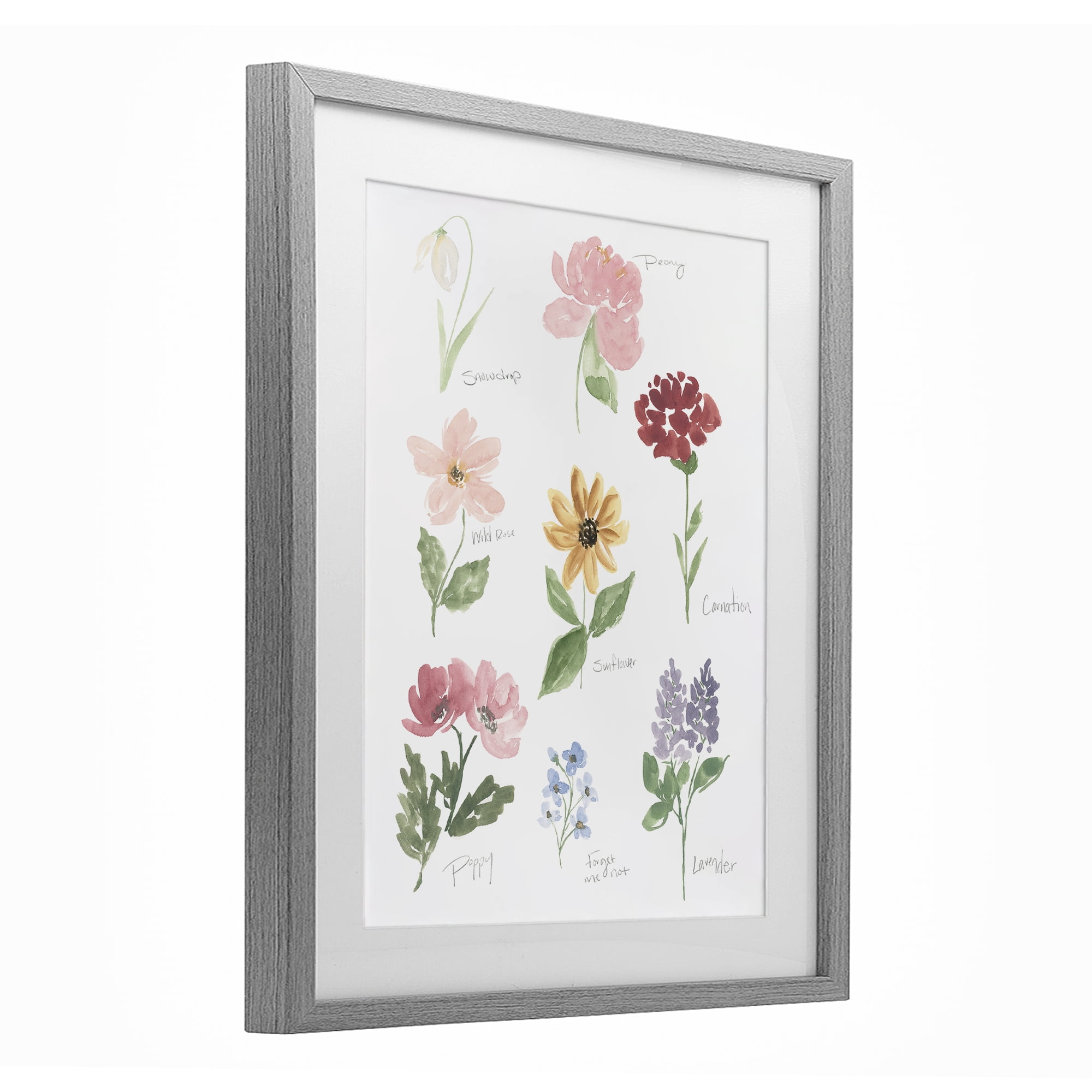 Stupell Industries Labeled Flower Varieties Gray Framed Print Under Glass, design by Lucille Price