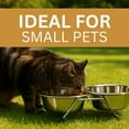 thumbnail image 6 of KITCHEN DIVA 2 Piece Pet Food Dish Set  Designed for Cats & Small Breed Dogs  Elevated Stand with Detachable 5 3/8" Bowls  Stainless Steel  Easy Clean, Dishwasher Safe, 6 of 6