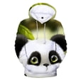 thumbnail image 3 of Sudadera con capucha con estampado 3D de panda para hombre y niño, ropa de calle divertida a la moda, sudaderas con capucha, ropa unisex de invierno Harajuku, 3 of 5