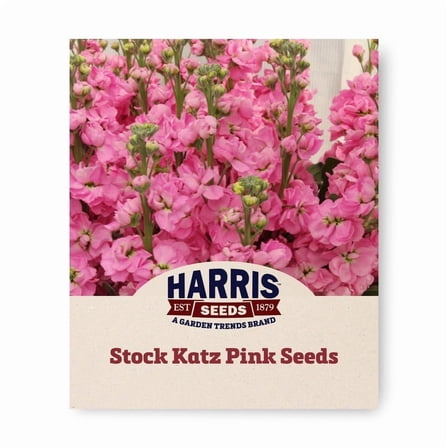 Harris Seeds - Stock Katz Pink Seeds For Planting- Early Blooming - 500 Seeds