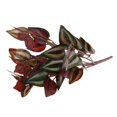 thumbnail image 2 of Imitación Púrpura Hierba Artificial Hoja Follaje Planta Hogar Decoración Macarena Imitación zebrina, 2 of 7