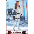 thumbnail image 2 of Natasha Marvel Sixth Scale Figure by Hot Toys Hot Toys Hot Toys, 2 of 10