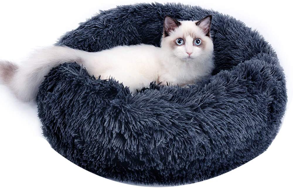 waterproof cat bed