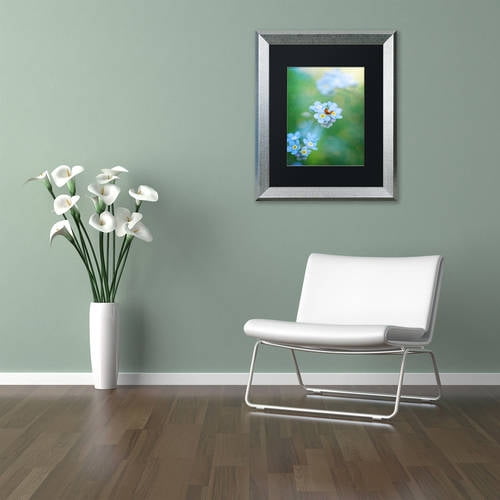 Trademark Fine Art "Forget-Me-Not" Canvas Art by Philippe Sainte-Laudy, Black Matte, Silver Frame
