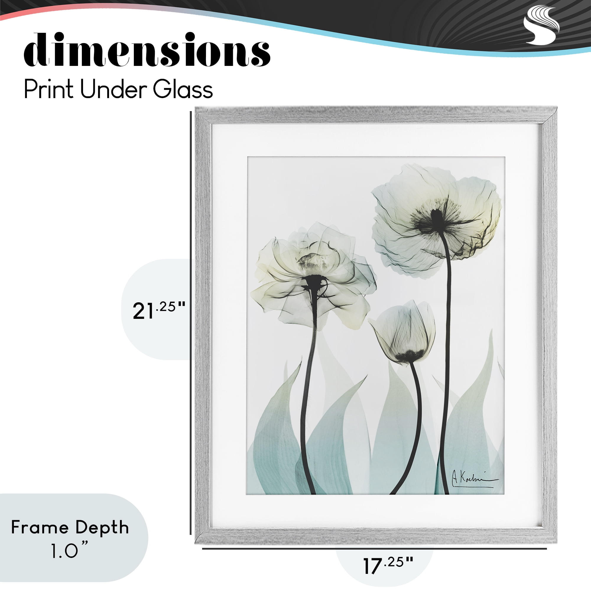Stupell Industries Luxury Of Creation Gray Framed Print Under Glass, design by Albert Koetsier