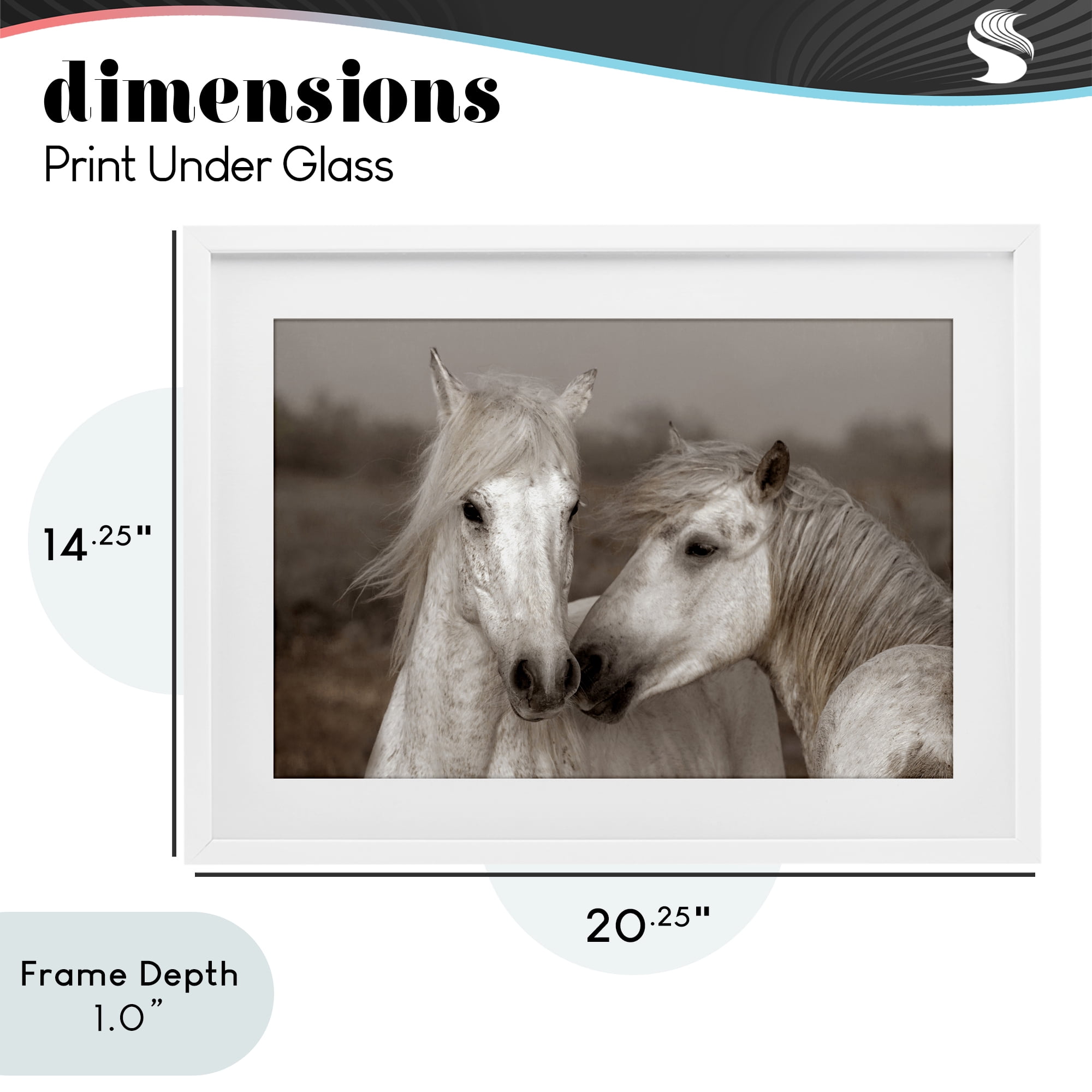 Stupell Industries Gentle Companionship Horses White Framed Print Under Glass, design by Danita Delimont