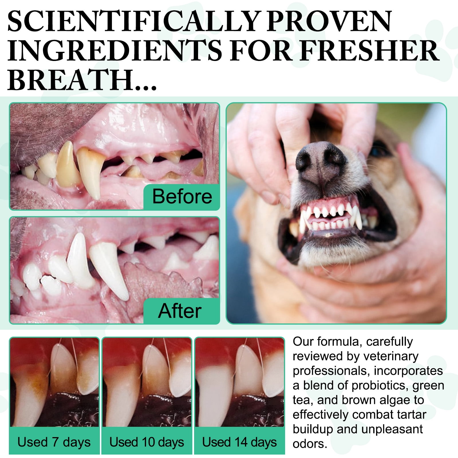 Petpya Dental Powder for Dogs Teeth - Dog Dental Powder - Pet Dental Cleaning Powder - Dog Plaque & Tartar Remover - Reduce Bad Breath - Teeth Cleaning Made Easy - Dog Grooming - Pet's Oral Care 2pc