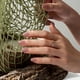 thumbnail image 3 of Pantalón corto Press On Nails BtartBox Taro Nude Squoval para mujer, 3 of 8
