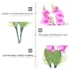 thumbnail image 2 of KAKOWELY 2 orquídeas artificiales delicadas y falsas, Phalaenopsis vívidas., 2 of 4