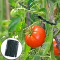 thumbnail image 1 of 100 Línea de corbata botánica de jardín verde multiusos Línea de corbata de hueso de pescado de jardinería Rojo Verde, 1 of 5