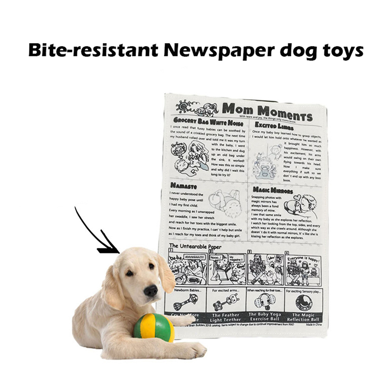 Why Do Dogs Chew Up Paper