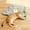 Yellow, variant on Rechargeable Automatic , 3-Mode -Activated Interactive with Random Motion, Concealed & Squeaky Sound for Indoor Cats & Kittens (Yellow)