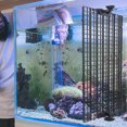 thumbnail image 4 of SEWCHICS 1 Set Aquarium Divider for Betta Plastic Black for Effective Breeding Support, 4 of 6