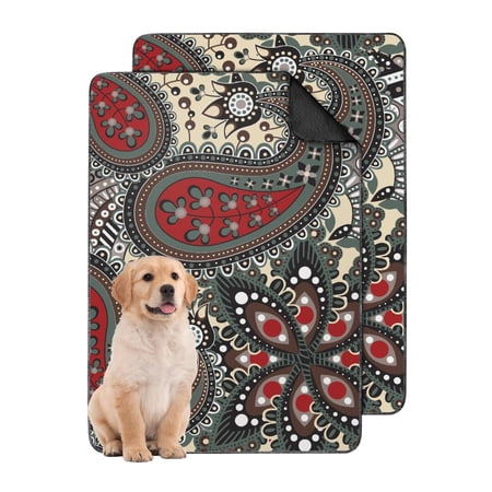 Washable Puppy Potty Pads 24 x35 Reusable Non-Slip Pee Pad for Indoor Crates & Floors (Paisley)