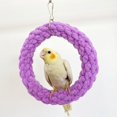 thumbnail image 2 of Parrot Swing Ring Bird Swing Toy Durable Cotton Rope Chewing Toy for Parrots Cockatiels Relieves Boredom Cage Hanging Toy, 2 of 8