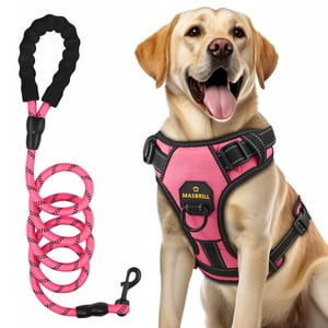 MASBRILL No Pull Dog Harness and Leash Set, Pink, Large