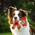 thumbnail image 4 of Juguete de masticación para perros, peluche de peluche, juguetes para perros de de Navidad duraderos para perros grandes, medianos y , Salvador Masticadores chirriantes, 4 of 7