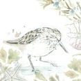 thumbnail image 2 of Vess, June Erica 26x26 White Modern Wood Framed Museum Art Print Titled - Seaside Sandpipers III, 2 of 4