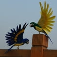thumbnail image 4 of Juguete de Decoración Pájaro de Emución Artificial Grande Macarena Pájaro artificial, 4 of 6