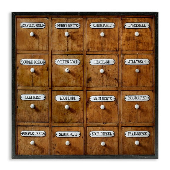 Stupell Industries Full Of Choices Cannabis Novelty & Humor Painting Black Framed Art Print Wall Art, 12 x 12