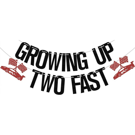 Growing Up Two Fast Banner, Two Curious Birthday Decorations, Racing Party Second Birthday Supplies, Black Red Glitter
