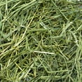 thumbnail image 4 of Rabbit Hole Hay Ultra Premium Coarse Timothy Hay, 4 of 4
