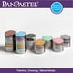 Colorfin PPPRLSET-30033 PanPastel Ultra Doux Artiste Pastel Set 9ml 3/pkg-Perlescent - Primaire – image 4 sur 5