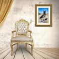 thumbnail image 3 of Muench, Zandria 17x24 Gold Ornate Wood Framed with Double Matting Museum Art Print Titled - German Shepherd in the Coachella Valley-California, 3 of 4